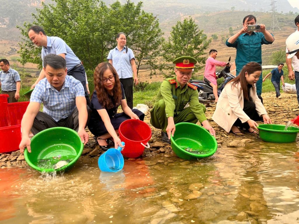 Thả hơn 700kg cá giống tái tạo nguồn lợi thủy sản sông Nho Quế