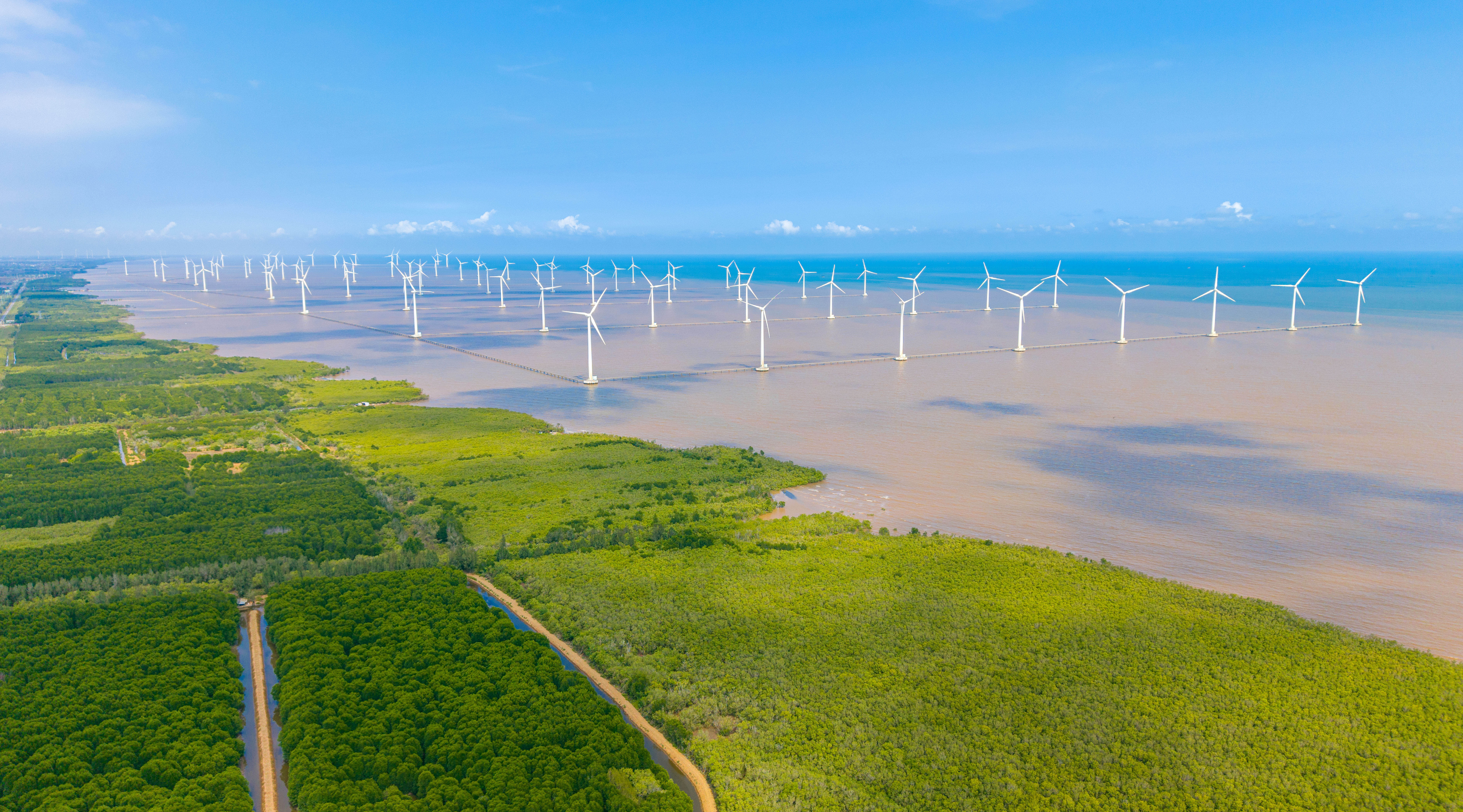 Chuyển dịch năng lượng: Khi công nghệ trở thành chìa khóa của Net Zero