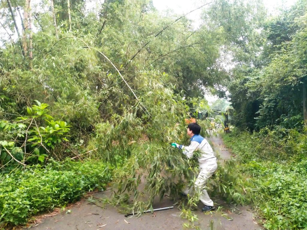 Thủy điện Hoàng Anh Thanh Hóa dọn dẹp, phát quang tuyến đường vào nhà máy